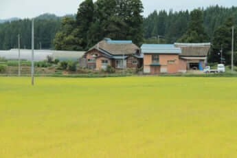 秋田県羽後町田舎の風景