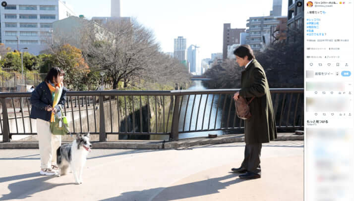 シッコウ!!～犬と私と執行官～｣