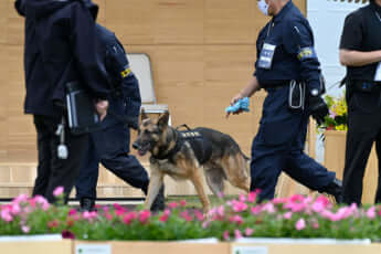 皇宮警察と警察犬_6