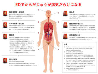 EDでからだじゅうが病気になる