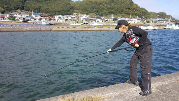 岸壁の上から幼魚は見つかる