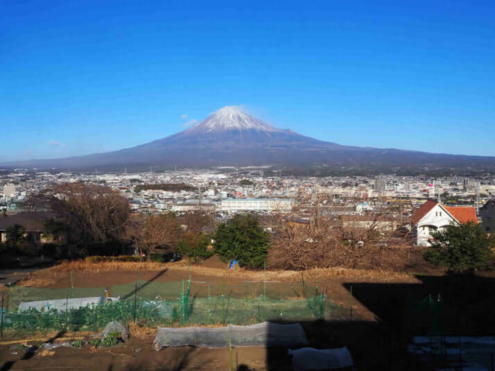 富士山