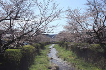 一の坂川イメージ