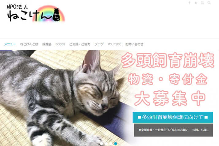 NPO法人ねこけん