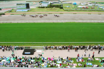 函館競馬場