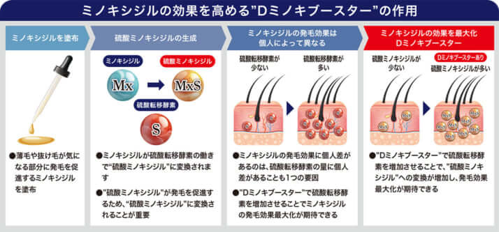 ミノキシジルの効果を高める“Dミノキブースター”の作用