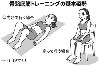 骨盤底筋トレーニング