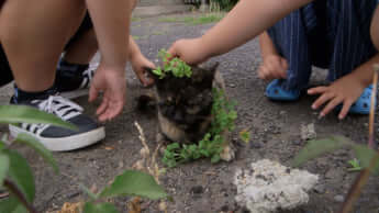 五香宮の猫_9