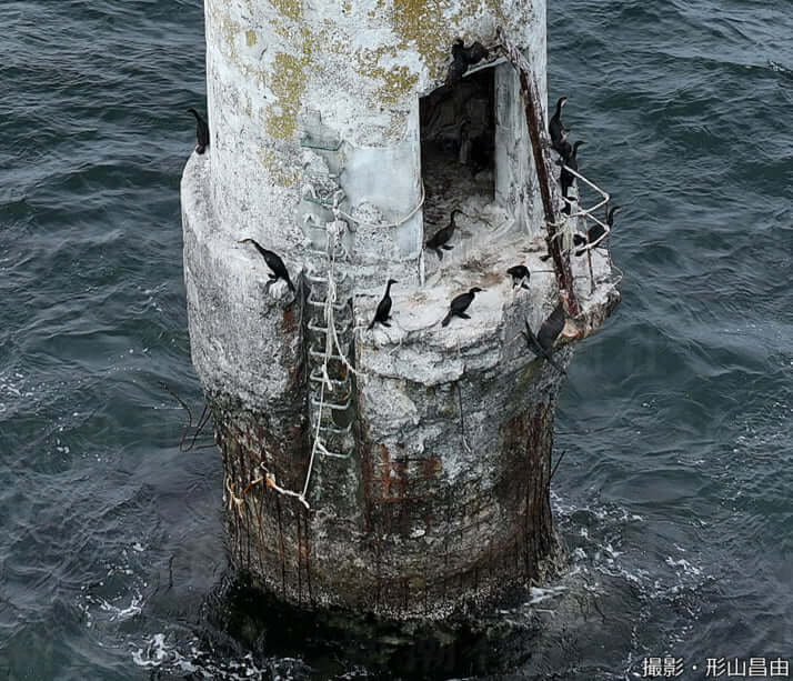 24年40号グラビア 貝殻島_19