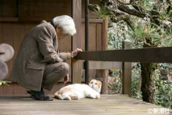 養老孟司と愛猫「まる」