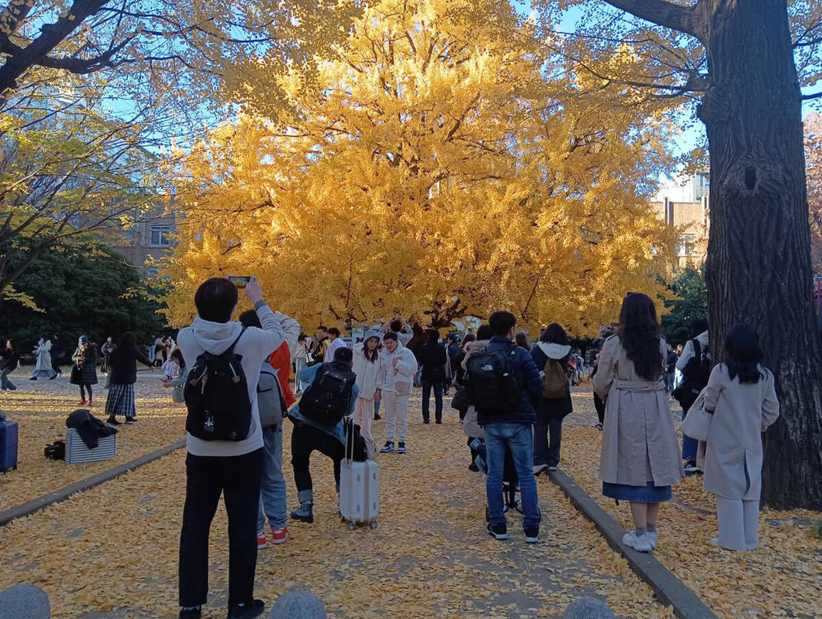 「東大」が「中国人留学生」だらけになっていた　大学院生の「5人に1人が中国人」…周辺には「ガチ中華」もズラリ | デイリー新潮