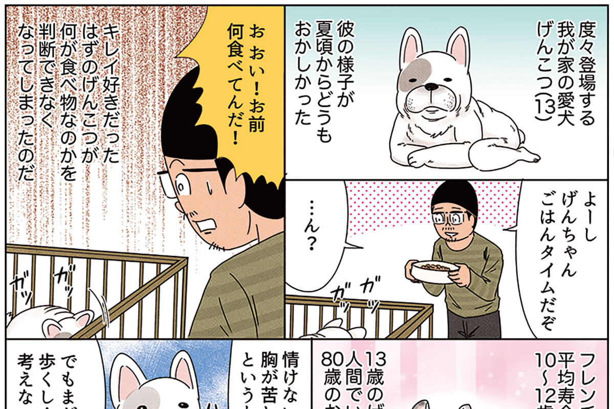 続・愛犬の老いにふりまわされている 宮川サトシ【俺は健康に ...